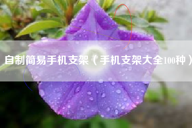 自制简易手机支架（手机支架大全100种）