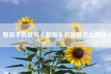 魅族手机跳屏（魅族手机跳屏怎么解决）