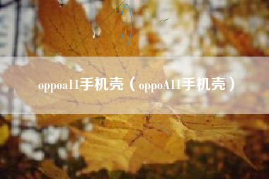 oppoa11手机壳（oppoA11手机壳）
