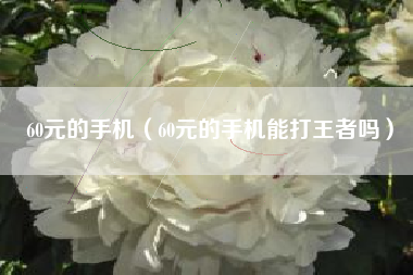 60元的手机（60元的手机能打王者吗）