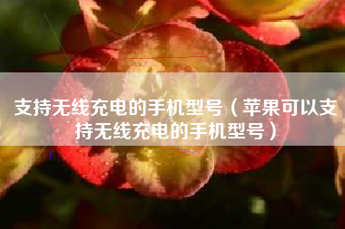 支持无线充电的手机型号（苹果可以支持无线充电的手机型号）