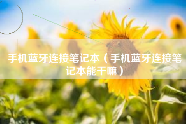 手机蓝牙连接笔记本（手机蓝牙连接笔记本能干嘛）