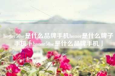 honor50se是什么品牌手机honor是什么牌子手机「honor50se是什么品牌手机」