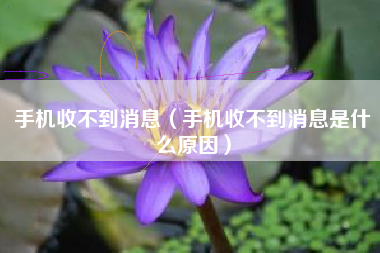手机收不到消息（手机收不到消息是什么原因）