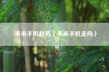 未来手机趋势（未来手机走向）