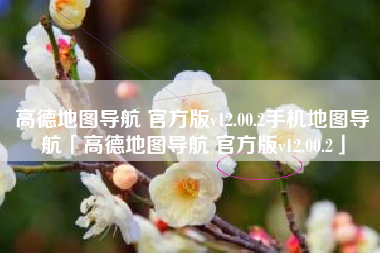高德地图导航 官方版v12.00.2手机地图导航「高德地图导航 官方版v12.00.2」