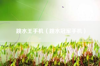 跳水王手机（跳水冠军手机）