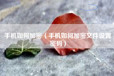 手机如何加密（手机如何加密文件设置密码）