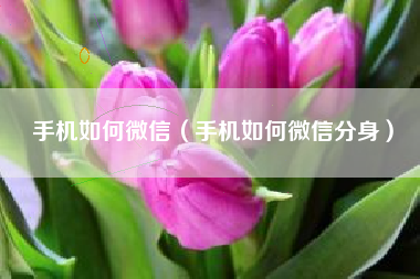 手机如何微信（手机如何微信分身）
