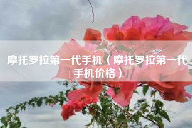 摩托罗拉第一代手机（摩托罗拉第一代手机价格）