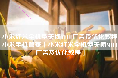 小米红米全机型关闭MIUI广告及优化教程小米手机管家「小米红米全机型关闭MIUI广告及优化教程」