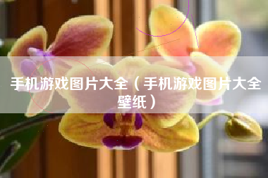 手机游戏图片大全（手机游戏图片大全壁纸）