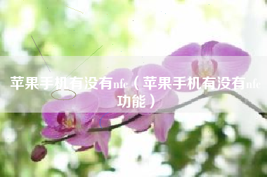 苹果手机有没有nfc（苹果手机有没有nfc功能）