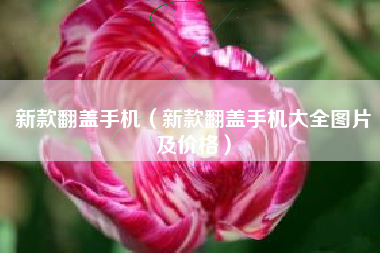 新款翻盖手机（新款翻盖手机大全图片及价格）