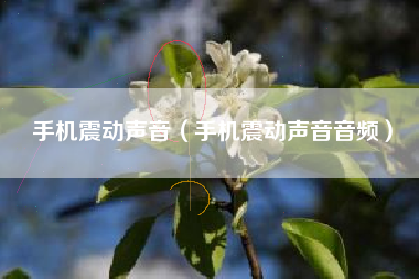手机震动声音（手机震动声音音频）