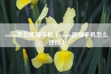 canon怎么连接手机（canon连接手机怎么连接）