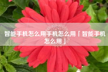 智能手机怎么用手机怎么用「智能手机怎么用」