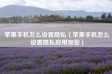 苹果手机怎么设置隐私（苹果手机怎么设置隐私应用加密）