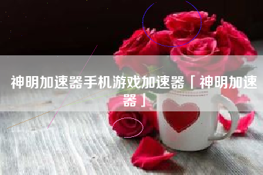 神明加速器手机游戏加速器「神明加速器」