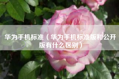 华为手机标准（华为手机标准版和公开版有什么区别）