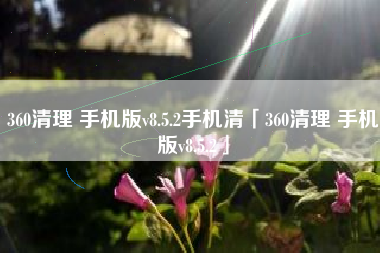 360清理 手机版v8.5.2手机清「360清理 手机版v8.5.2」