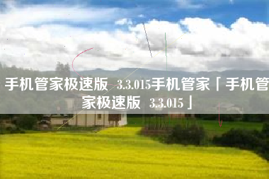 手机管家极速版  3.3.015手机管家「手机管家极速版  3.3.015」