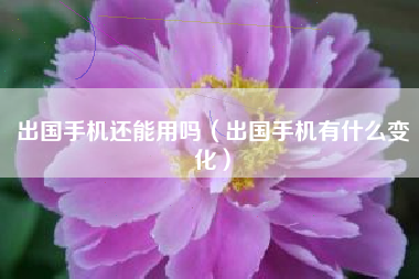出国手机还能用吗（出国手机有什么变化）