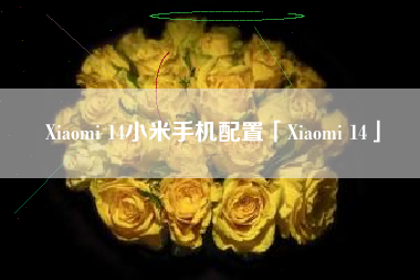 Xiaomi 14小米手机配置「Xiaomi 14」