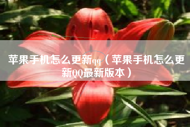 苹果手机怎么更新qq（苹果手机怎么更新QQ最新版本）