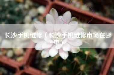 长沙手机维修（长沙手机维修市场在哪里）