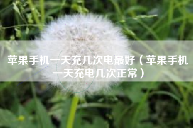 苹果手机一天充几次电最好（苹果手机一天充电几次正常）