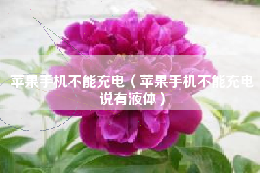 苹果手机不能充电（苹果手机不能充电说有液体）