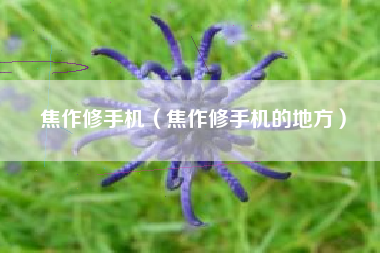 焦作修手机（焦作修手机的地方）