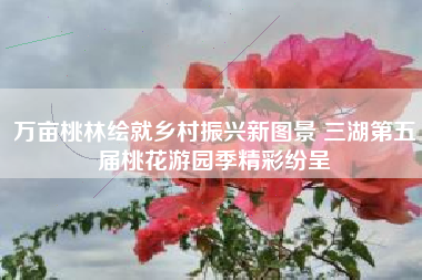 万亩桃林绘就乡村振兴新图景 三湖第五届桃花游园季精彩纷呈
