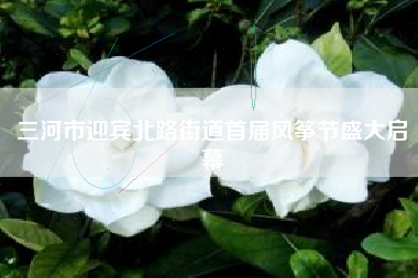 三河市迎宾北路街道首届风筝节盛大启幕