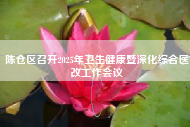 陈仓区召开2025年卫生健康暨深化综合医改工作会议