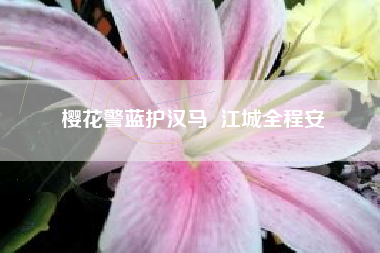樱花警蓝护汉马  江城全程安