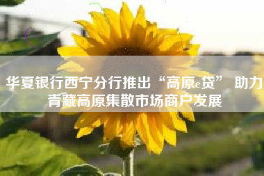 华夏银行西宁分行推出“高原e贷” 助力青藏高原集散市场商户发展