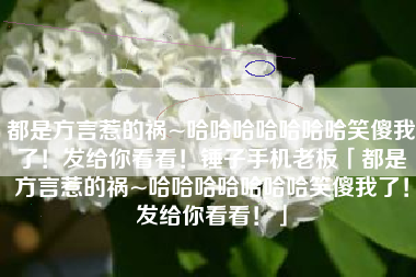 都是方言惹的祸~哈哈哈哈哈哈哈笑傻我了！发给你看看！锤子手机老板「都是方言惹的祸~哈哈哈哈哈哈哈笑傻我了！发给你看看！」