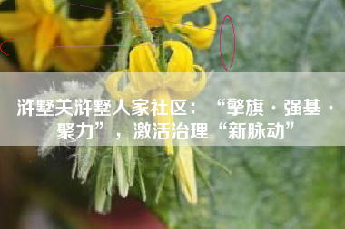 浒墅关浒墅人家社区：“擎旗·强基·聚力”，激活治理“新脉动”
