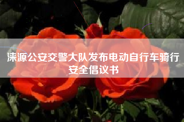 涞源公安交警大队发布电动自行车骑行安全倡议书