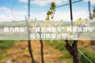 魅力西部”“滹沱河观光”两条旅游专线今日恢复运营