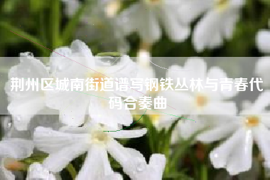 荆州区城南街道谱写钢铁丛林与青春代码合奏曲