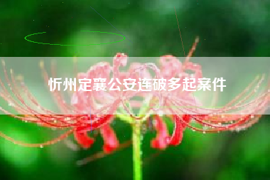 忻州定襄公安连破多起案件