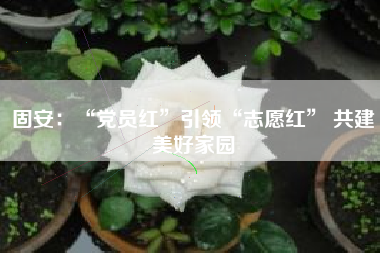 固安：“党员红”引领“志愿红” 共建美好家园