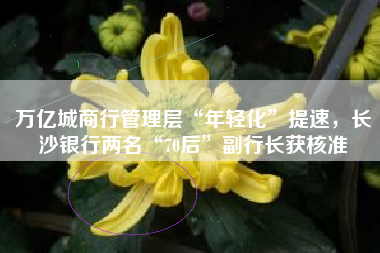 万亿城商行管理层“年轻化”提速，长沙银行两名“70后”副行长获核准