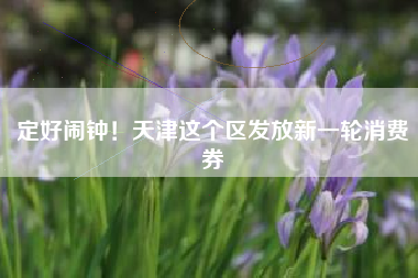 定好闹钟！天津这个区发放新一轮消费券