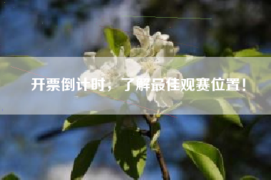 开票倒计时，了解最佳观赛位置！